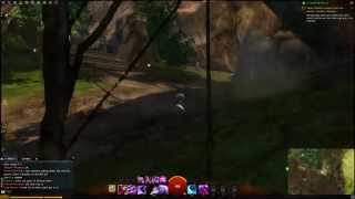 Guild Wars 2 Sunshade Caves Vista [upl. by Ullyot]