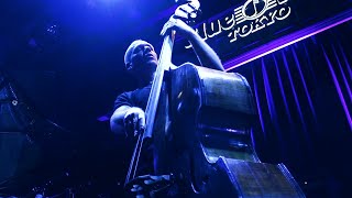 Avishai Cohen Trio  Shifting Sands Live at Blue Note Tokyo  2023 [upl. by Sharleen]