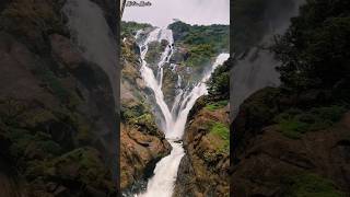 Dudhsagar Waterfalls Goa Train Journey 2024 waterfall love youtubeshorts [upl. by Cerf168]