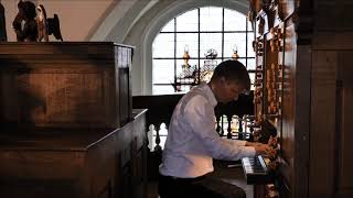 Georg Muffat Toccata undecima Darko Pleli  Organ [upl. by Hellah957]