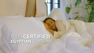 Embrace Comfort with Fishers Finery Certified Egyptian Cotton Sheets [upl. by Darnall]