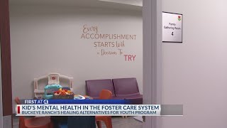 Central Ohio program addresses foster kids mental health [upl. by Ormsby]