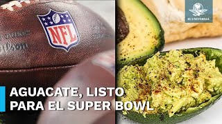 ¡No puede faltar el guacamole En Edomex productores de aguacate se preparan para el Super Bowl [upl. by Arev609]