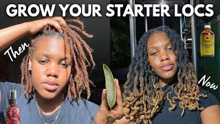 How to Grow Your Starter Locs to Shoulder Length FAST  4 MUST KNOW Tips for Beginners [upl. by Airec]