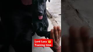 Lucy Lord 👑 Training [upl. by Brendan]