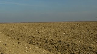 Calif farmers leave acres unplanted as state cuts off water [upl. by Olonam]