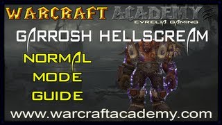 Garrosh Hellscream Normal Guide  Siege of Orgrimmar  Warcraft Academy [upl. by Neerihs830]