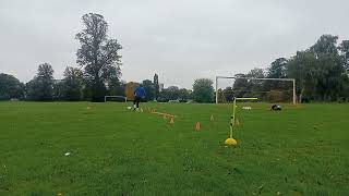 Goalkeeper polymeric and agility drill [upl. by Bonns]