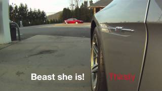 BMW M6 Tunnel RunEisenmann Race Exhaust Sound with Insane Big Revs [upl. by Akimal]