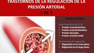 Fisiopatología de la presión arterial 1 de 3 [upl. by Cheadle]