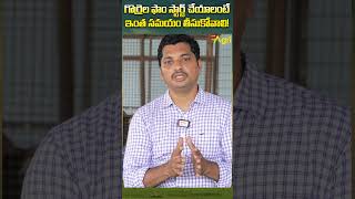 గొర్రెల ఫామ్ స్టార్ట్ చేయాలంటే ToneAgri SheepBusinessGuide SheepAgeDetermine sheepfarming [upl. by Attelliw333]