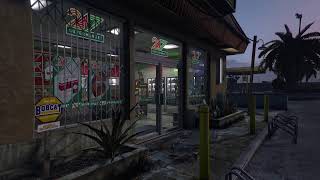 Niland Avenue Ambience  GTA chill stream [upl. by Vincenty694]