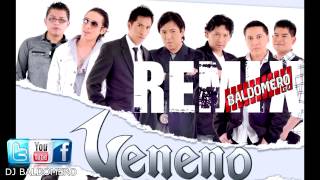 VENENO  A ESA MUJER REMIX DJBALDOMERO 2014 [upl. by Pirzada196]