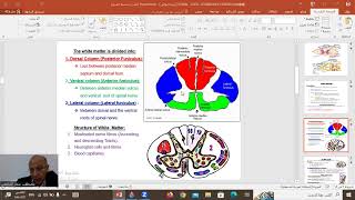 Histology  CNS 1 Spinal cord Cerebrum amp Cerebellum [upl. by Alexandrina441]