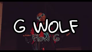 G Wolf  Flow G Lyrics Video [upl. by Primavera]