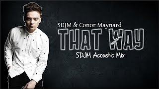 Lyrics SDJM amp Conor Maynard  That Way SDJM Acoustic Mix [upl. by Gaillard]