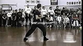 Ha Say Fu Hung Gar Kuen Kung Fu [upl. by Aimik]