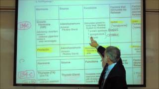 PROLACTIN amp GROWTH HORMONE by Professor Fink [upl. by Llevron879]