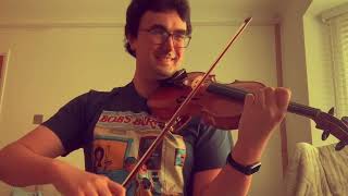 Lord of the Rings  Enya  May It Be Fellowship of the Rings Violin version [upl. by Atsylac]