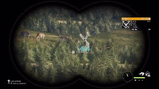 Surprise giant fallow deer on the starter series [upl. by Niels]