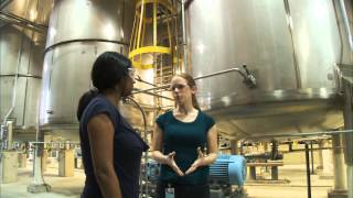 What Does a Chemical Engineer Do  Careers in Science and Engineering [upl. by Lepper]