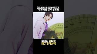 후 청량드림은 근본이잖아 오랜만에 시즈니 환장해😖💚 NCTDREAM 앨범깡 [upl. by Ulund]