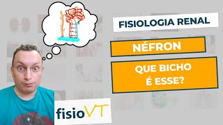 Fisiologia Renal  03 Néfron [upl. by Adikram976]