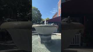 Cute dolphin and turtle fountain in Lebanon NH [upl. by Sileas]