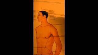 Gallbladder Meridian  Part 1 Acupuncture [upl. by Neelloj328]