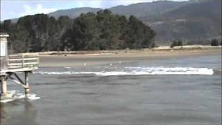 California Tsunami footage [upl. by Reidid]