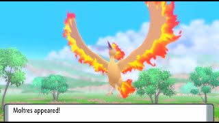 Pokemon Shining Pearl  Episode 123 Bird of Fire [upl. by Brucie]