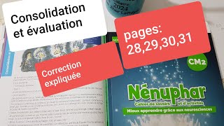 Consolidation et évaluation pages 283930et 31 Nénuphar CM2 [upl. by Lada]