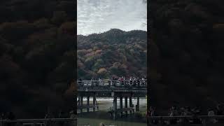 Arashiyama under the hot sun [upl. by Yhtrod318]