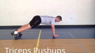 StewSmith Fitness Library Tricep Pushups [upl. by Lynsey]