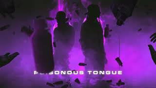 DBlock Europe  Poisonous Tongue Visualiser [upl. by Borrell]