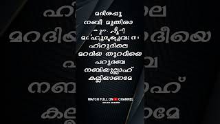 Pathi Palathilum Thuthi  Song With Lyrics [upl. by Nalak545]