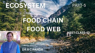 FOOD CHAIN AND FOOD WEB  ECOSYSTEM PART5  NEET  CLASS12  dr Ramesh C Panda [upl. by Ssegrub990]