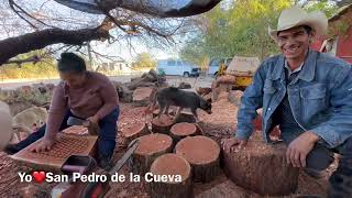 Elaboración de bateas de madera paso a paso por la familia Lucero Moreno [upl. by Grove]