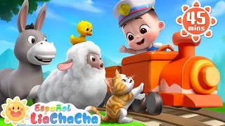 Animales en el Chu Chu Tren  Sonidos de Animales  LiaChaCha en Español  Canciones Infantiles [upl. by Aner]