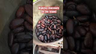 I Made Chocolate From Scratch  Cocoa Beans To Chocolate in Jamaica chocolate cocoa jamaica [upl. by Nnor]