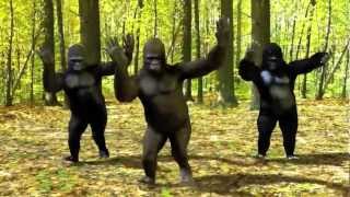 Dancing Gorillas [upl. by Eylrac]