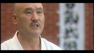 Shinkendo amp Aikibujutsu HUN 2010 Seminar Part2 [upl. by Deckert]