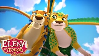 The Bros Are Back  Music Video  Elena of Avalor  Disney Junior [upl. by Bocyaj]