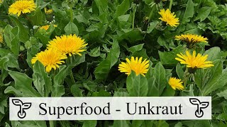 Vitaminbomben aus dem Garten 💪 Essbare Wildräuter amp Beikräuter für die Küche [upl. by Yla]