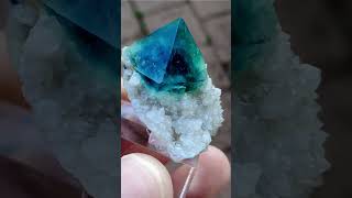 octahedral fluorite on milky quartz Yindu Mine Inner Mongolia [upl. by Wohlert]