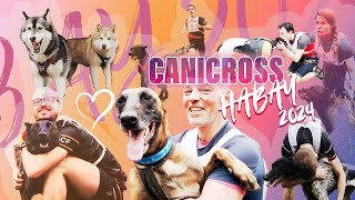 Canicross I HABAY 2024 I 4k I FCBBCF [upl. by Nnylrefinnej272]