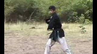 Matayoshi Kobudo Nunchaku kata Kohbu Nunchaku [upl. by Sivar]