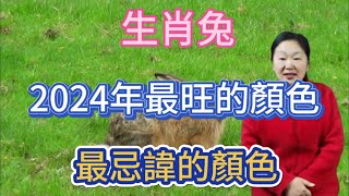 生肖兔！2024年最旺的顏色！屬兔人最忌諱的顏色！用對顏色就能招來好運！一整年都好運連連！平安吉祥！財源滾滾！ [upl. by Notslah]