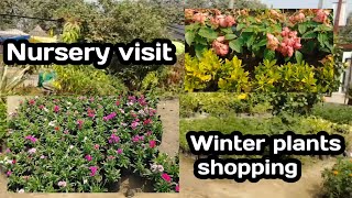 Winter flowering plants shopping with name amp price nursery visit [upl. by Baras]