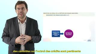 Gestion des risques bancaires AFGES module 2 1ère partie [upl. by Jenda]